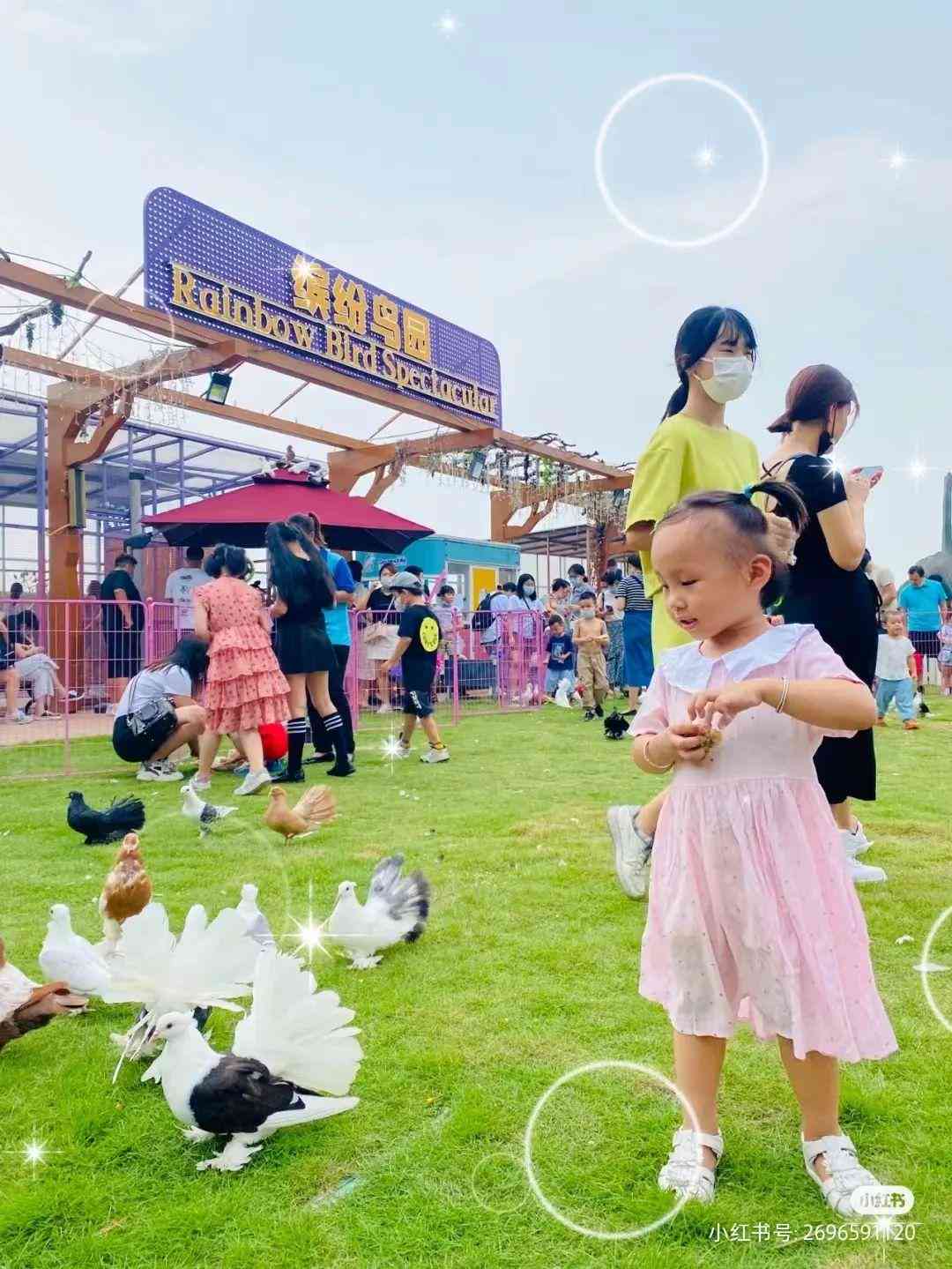 小红书教你写文案：如何撰写吸睛内容与实操步骤详解