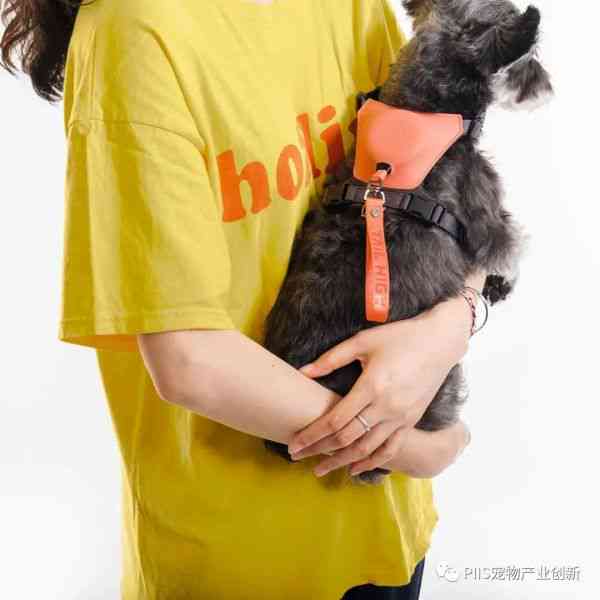 全方位探索原创宠物设计：涵创意宠物用品、宠物服饰与个性化宠物解决方案