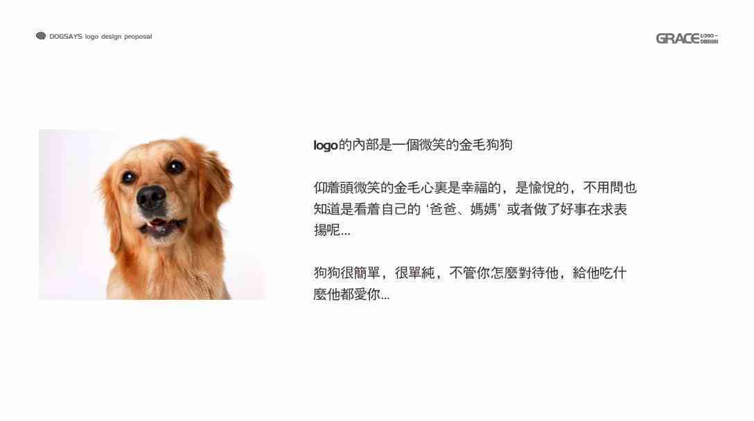 宠物logo设计：融合UI与方案理念，详尽设计说明