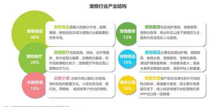 宠物领域全方位指南：专业创作者解答养宠疑难杂症与热门话题