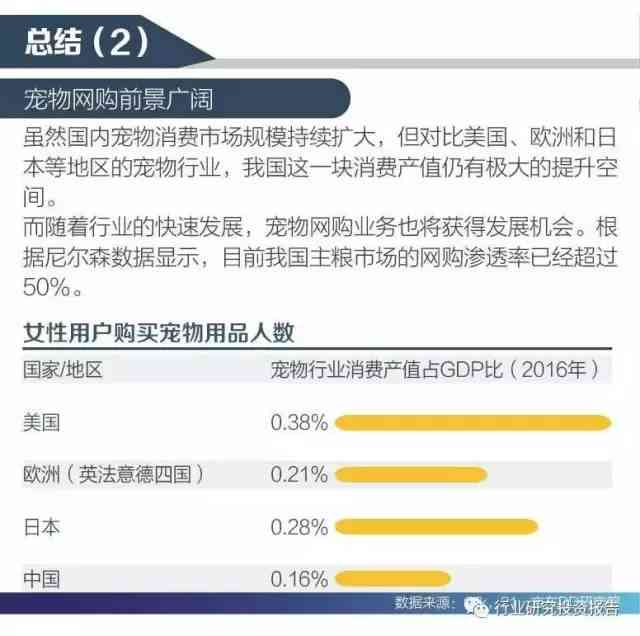 如何在平台中选择宠物创作者身份：怎样定位创作方向与选择策略