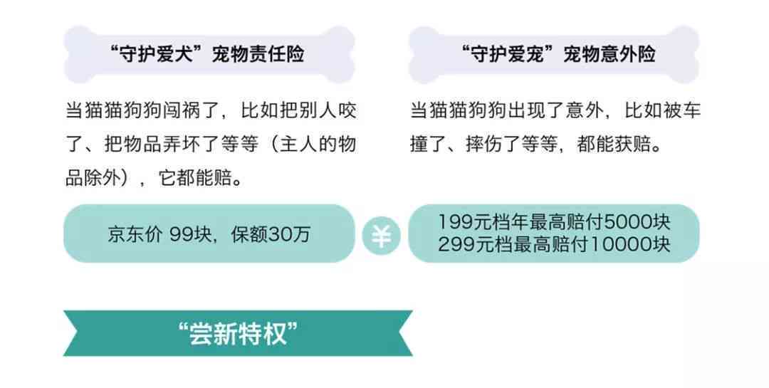 如何在平台中选择宠物创作者身份：怎样定位创作方向与选择策略