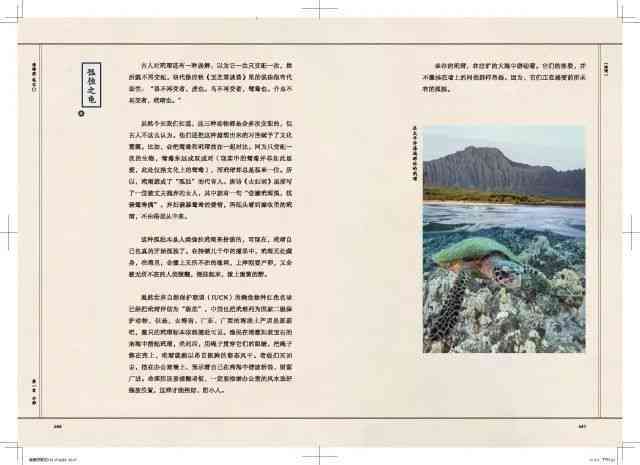 最新海洋篇章：小海螺语录免费小说全文章节解读