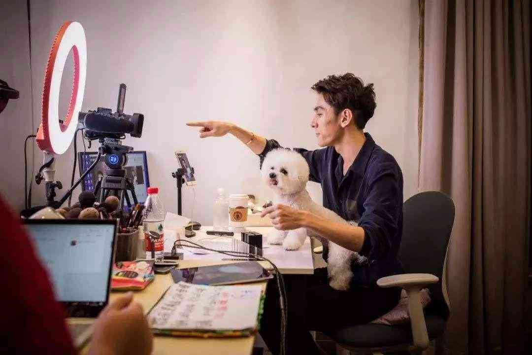 掌握全面技巧：如何精准模仿他人文案并解决用户搜索的各种相关问题