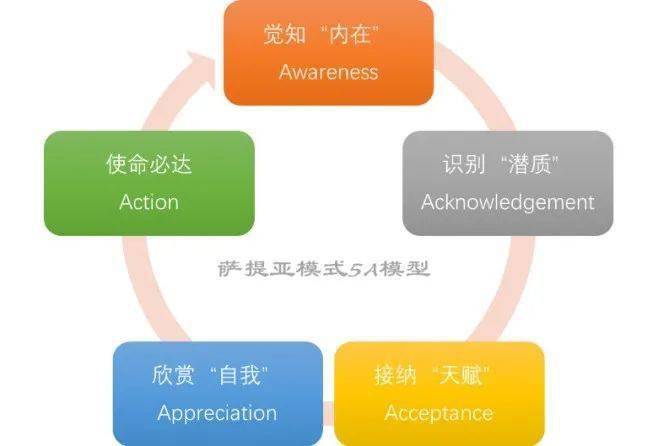 深入探讨自我认知智能在个人成长与职业发展中的关键作用与重要性