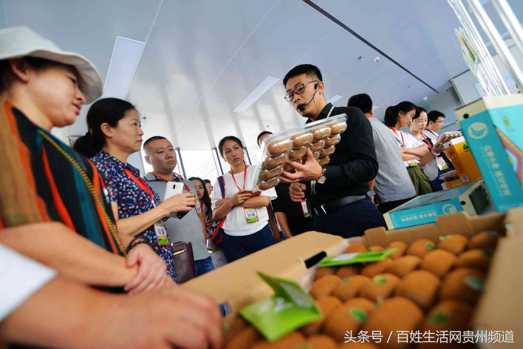 创新农产品营销策略：全方位创意文案汇编与实战应用指南