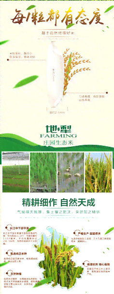 用ai做农产品文案