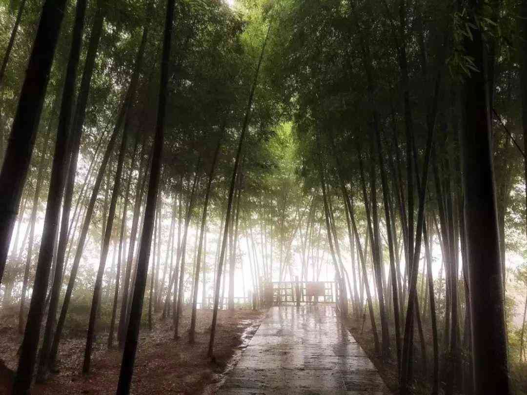 周杰伦歌曲英文翻译：将经典中文歌词转化为流利英文