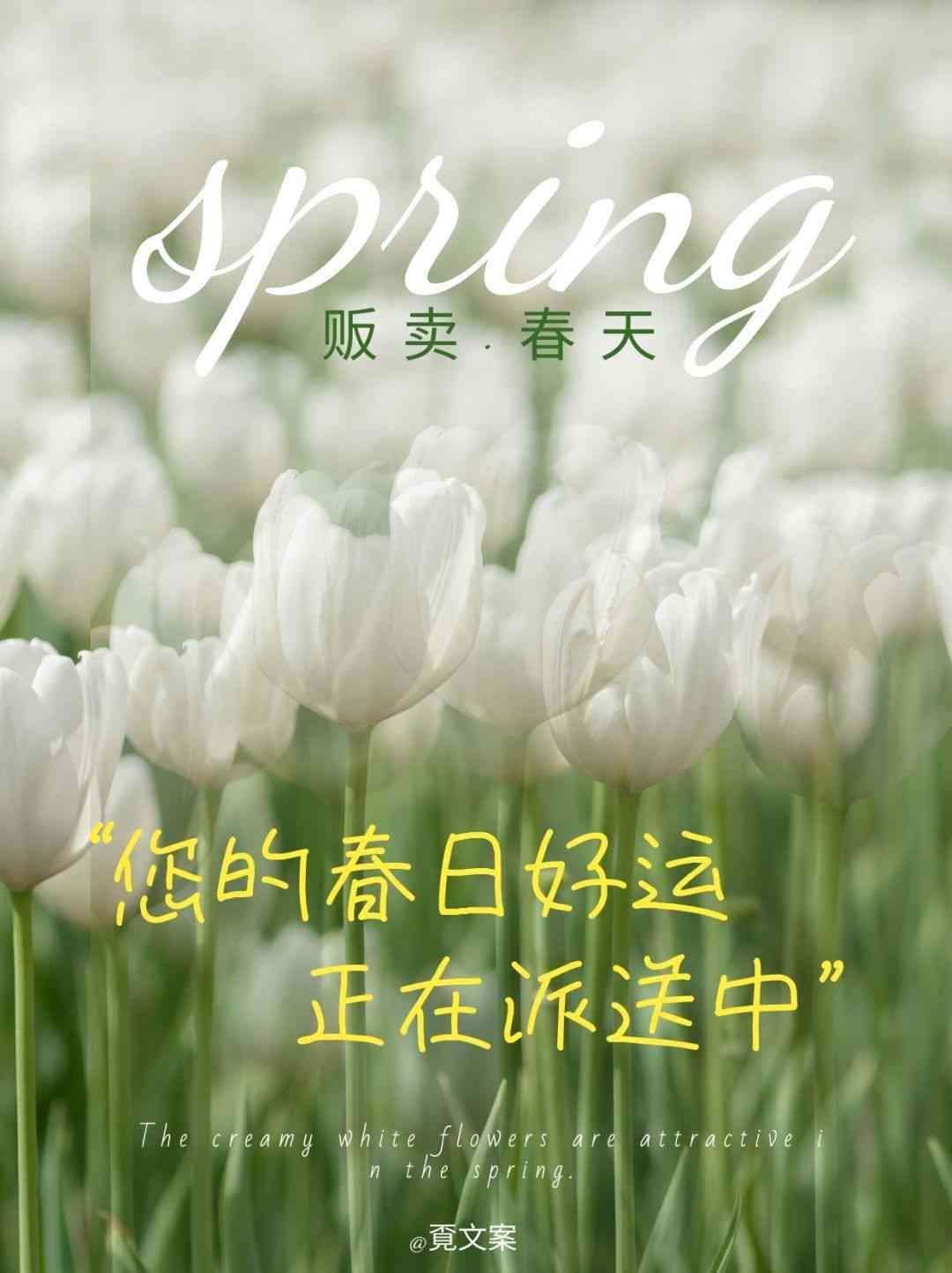 春天还没来文案ai