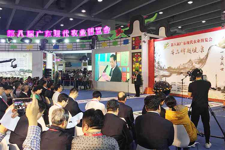 全面指南：如何高效识别与评估优质文案及避免常见误区