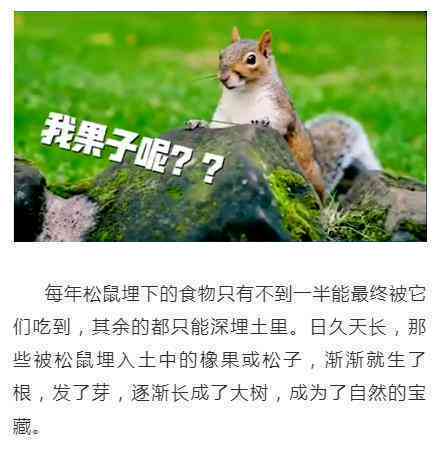 松鼠ai体验朋友圈文案