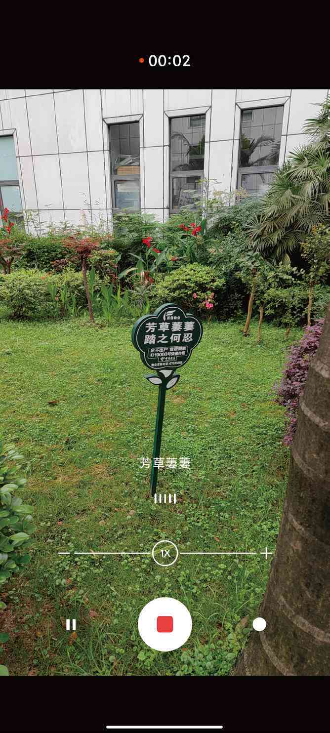 如何在小米手机中启用字幕功能——详细步骤教你怎么开启AI字幕