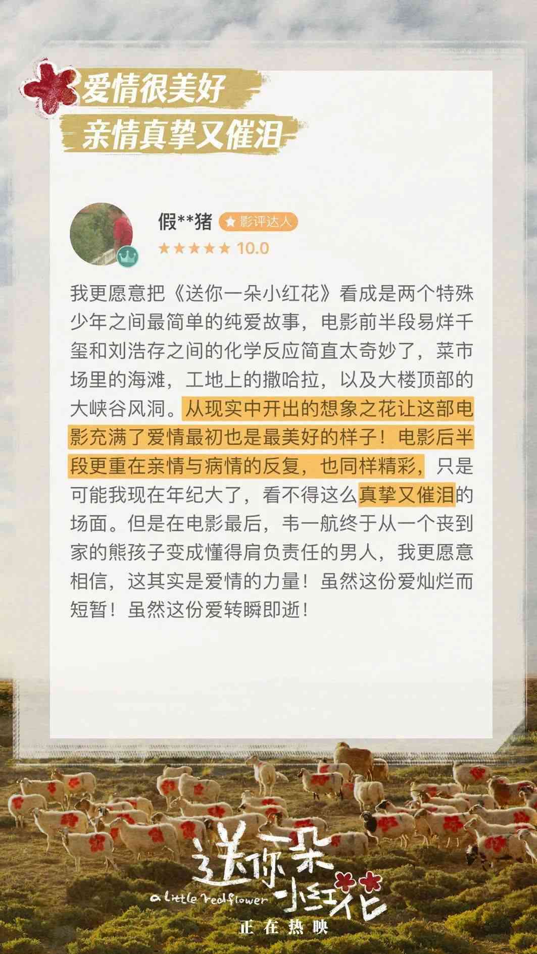如何用小红的手笔创作你的潮流生活文案，让我们活的更有态度