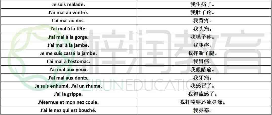 牙医病例软件：推荐高效率牙科病例管理工具及表格应用