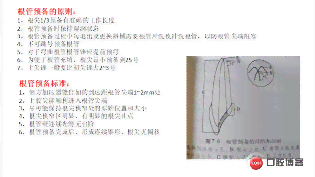 牙医病例软件：推荐高效率牙科病例管理工具及表格应用