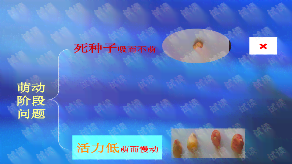 全面解析：粉墨AI创作课程详细介绍及报名指南