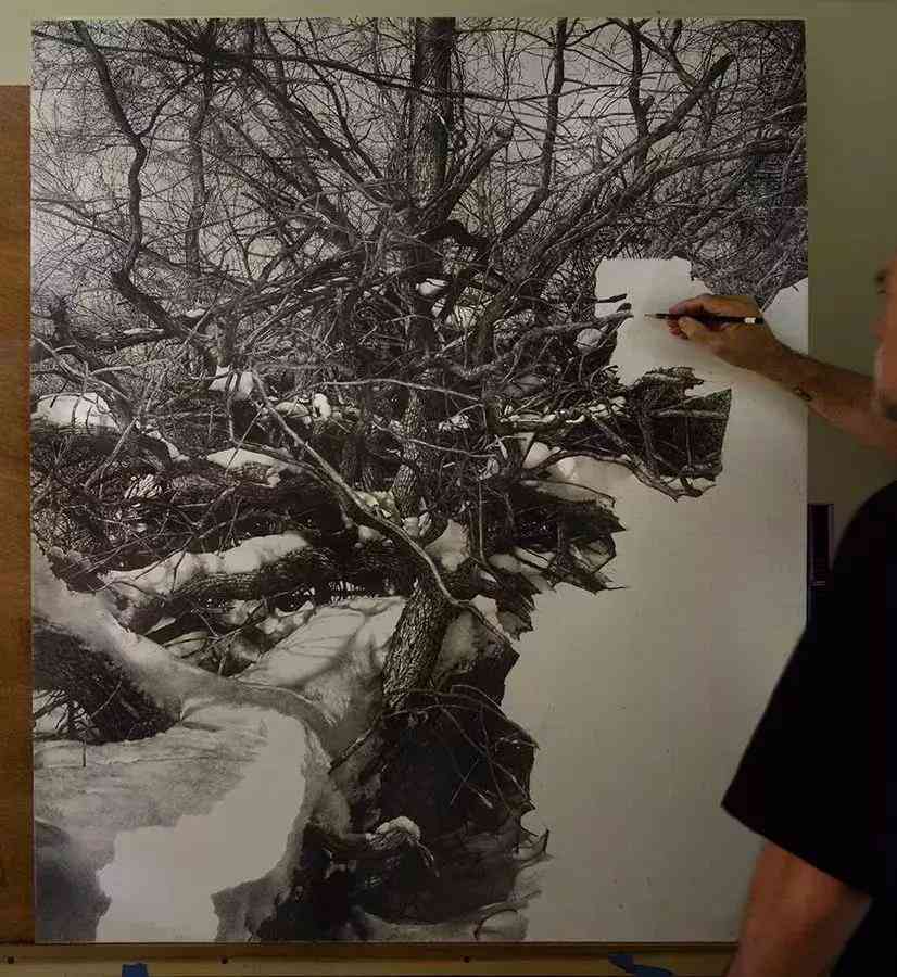 AI姐妹联手打造逼真写实风景画：探索人工智能在艺术创作中的无限可能
