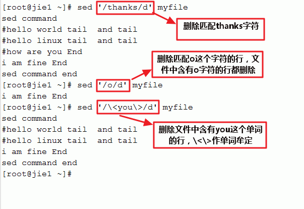 ai扩展作用：功能、使用工具、命令操作全解析