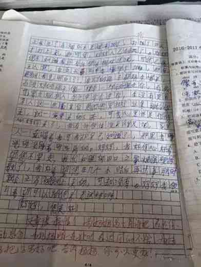 播放一个妈作文：300-400字我的妈妈篇