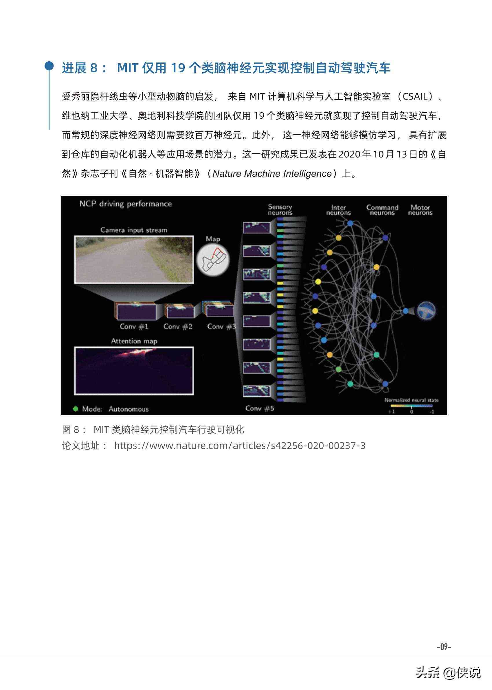 视觉AI趋势报告总结：2021年视觉AI趋势范文与精华提炼