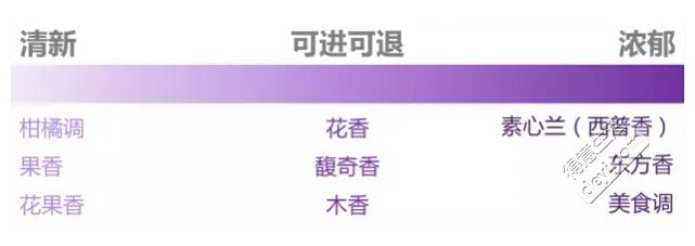 香水测评攻略：从入门到精通，全面解析如何撰写专业香评指南