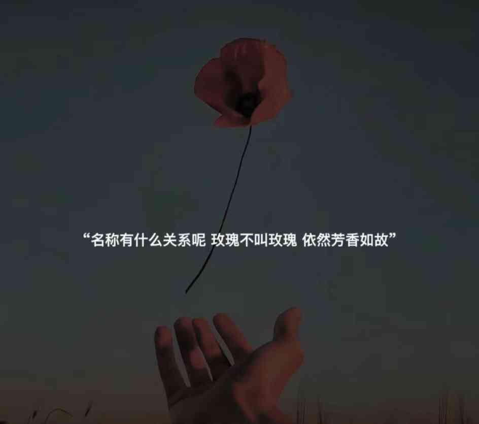 清冷文案：文字中的冷感魅力