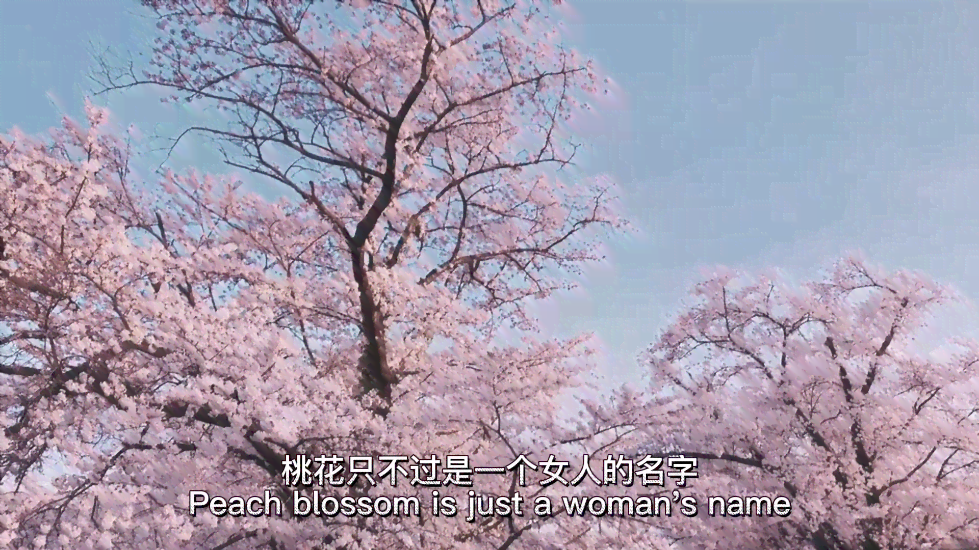 一下文案：微醺桃花未开，发财树先绽放，小聚旧照片，探访新城市