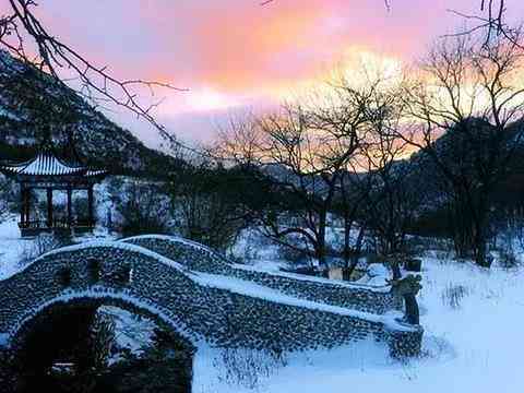 中国雪人次与雪场数据：冰雪运动场冰雪活动统计报告