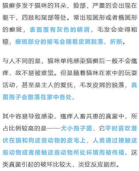 女职工56周岁在退休年龄边缘发生工伤，如何界定及评定工伤权益