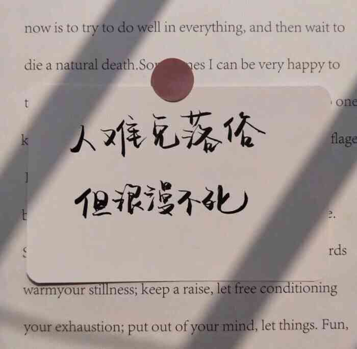 文艺风格爱情文案汇编：涵经典与创新，满足各类情感表达需求