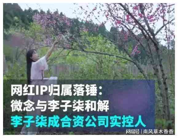 一直模仿，从未超越：探寻文案的巧妙借鉴之路
