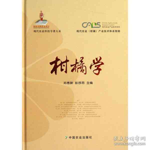 AI技术应用与实践心得汇编