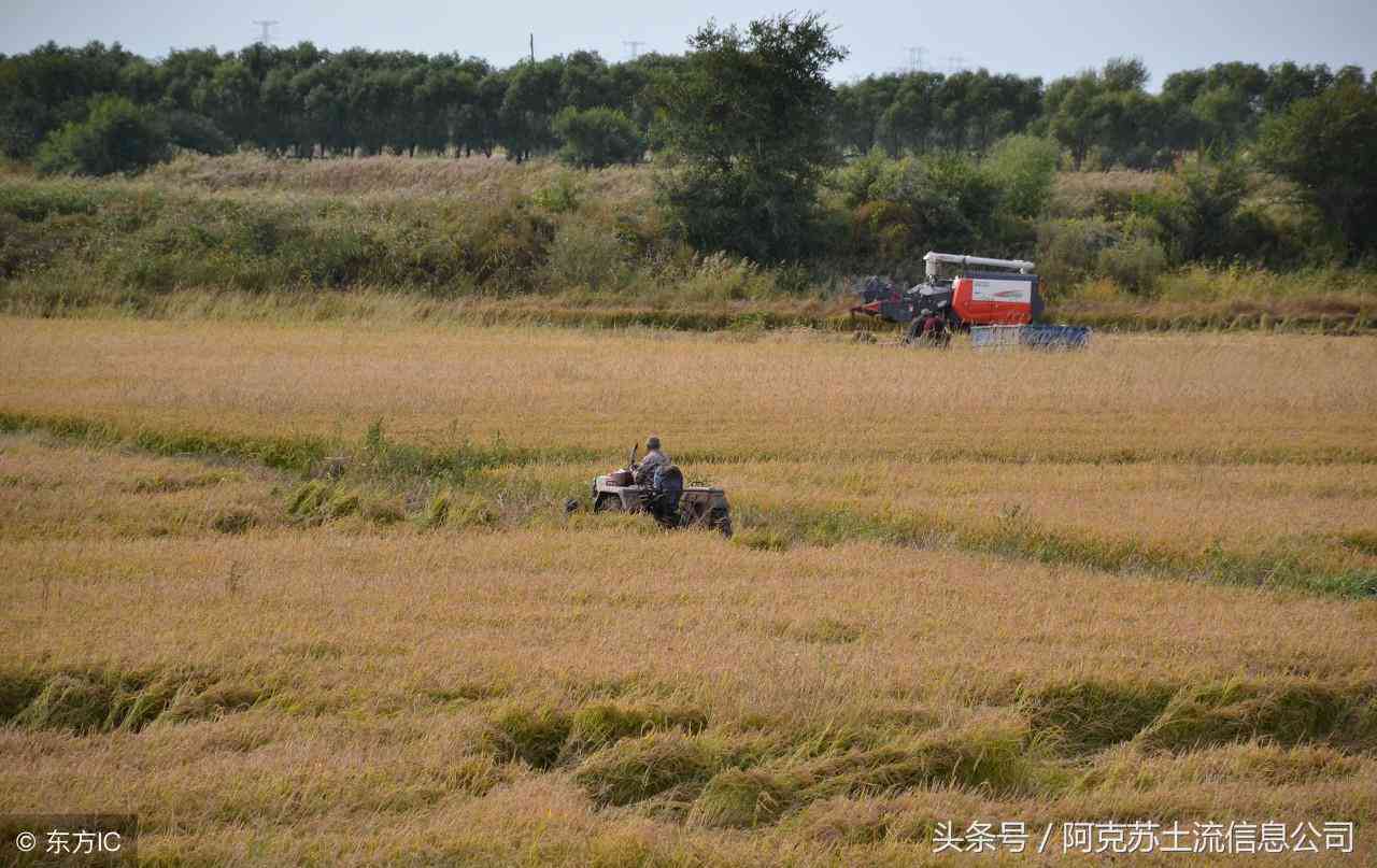 一年之内没有工伤认定怎么办：超期未申请工伤认定处理指南