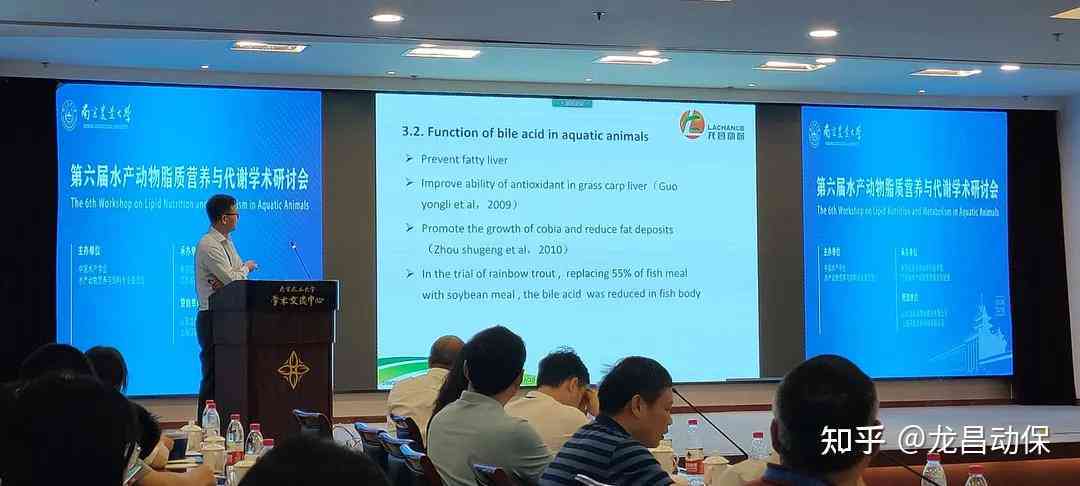 学术报告精华提炼与未来展望：总结发言