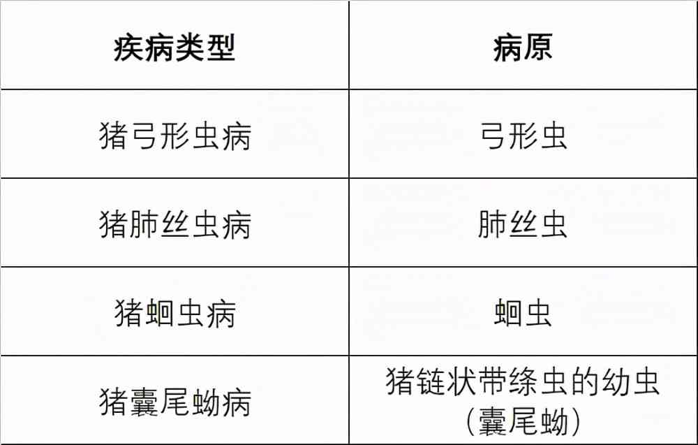 一氧化碳中工伤等级认定详解：流程、标准与赔偿指南