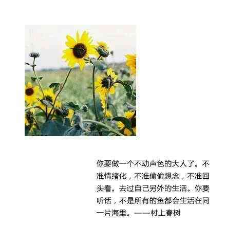 人像摄影配文：经典文案句子与精选作品语录