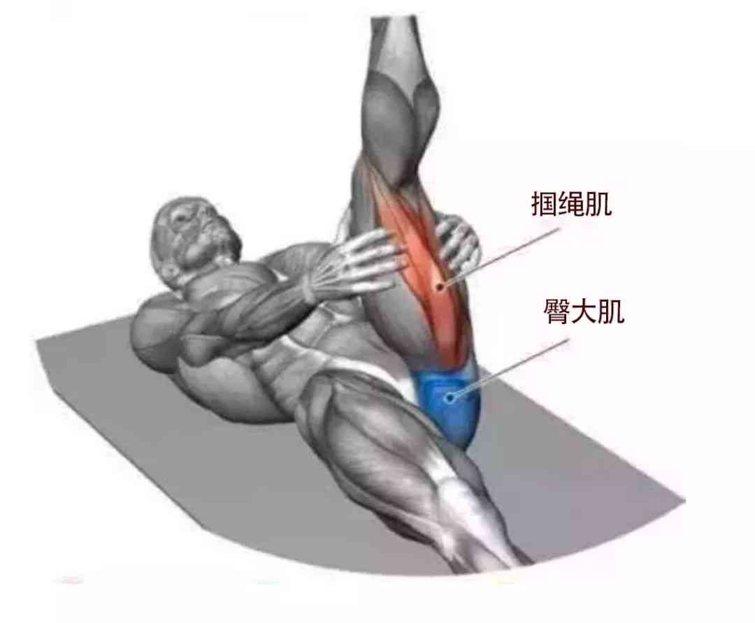 塑造肌肉力量：全面解析增肌训练策略与技巧
