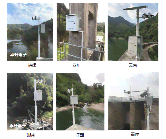 探讨松鼠打地基对生态平的关键作用与重要性