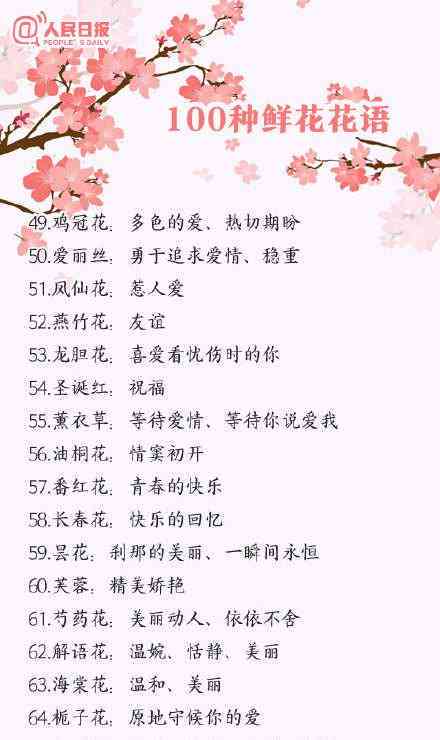 探索花花语：全面解析各类花寓意与情感表达
