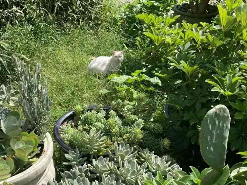 北京炎黄艺术发展中心：最新动态、活动资讯、艺术资源一站式指南