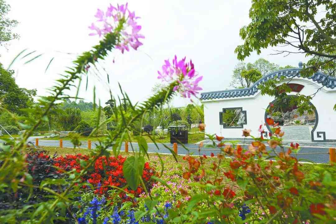 微软ai写作神器怎么用