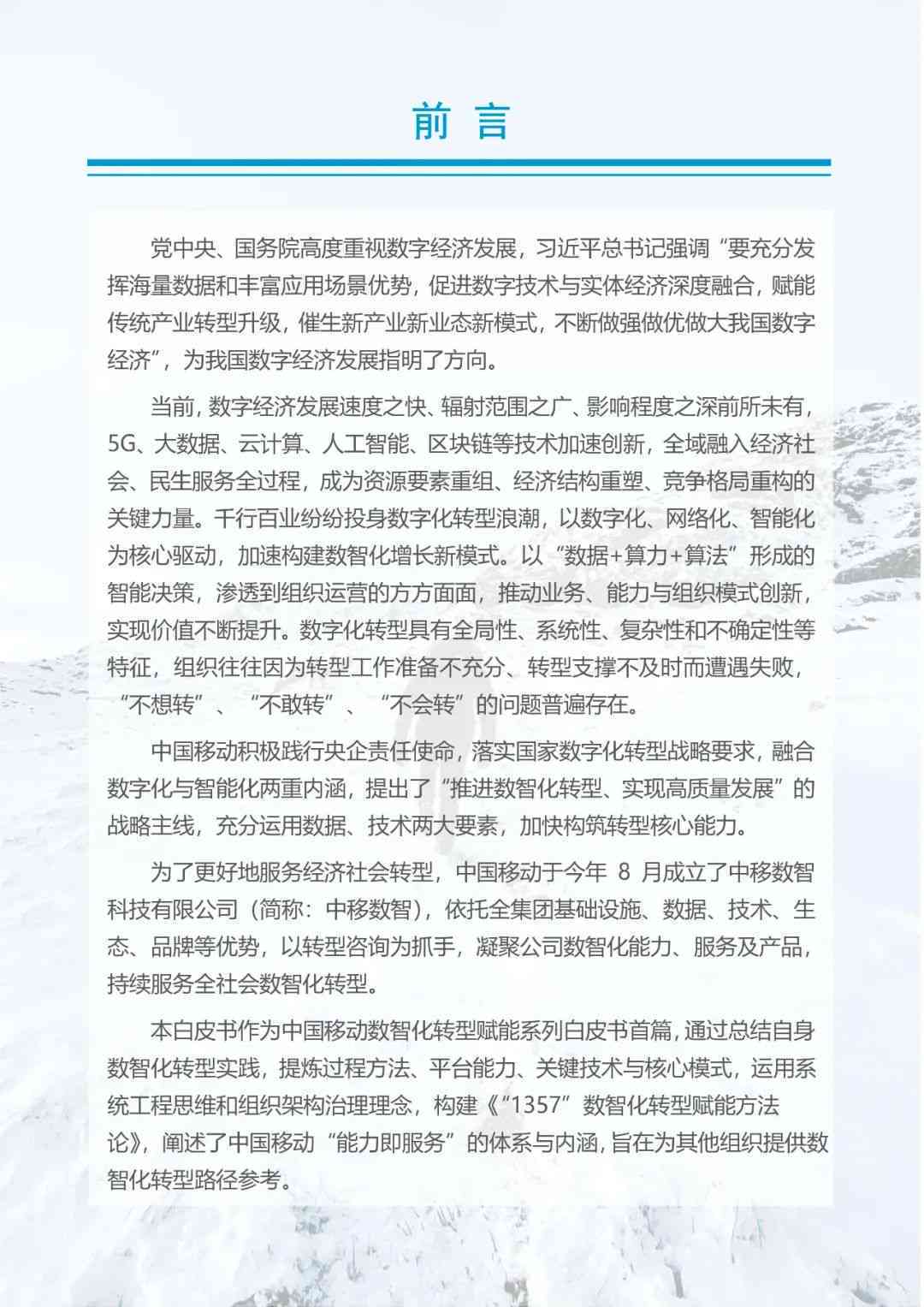 战略报告原文2021最新版：在线阅读及PDF