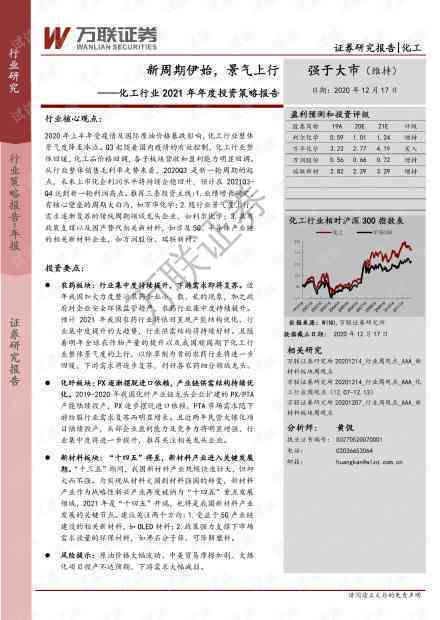 战略报告原文2021最新版：在线阅读及PDF