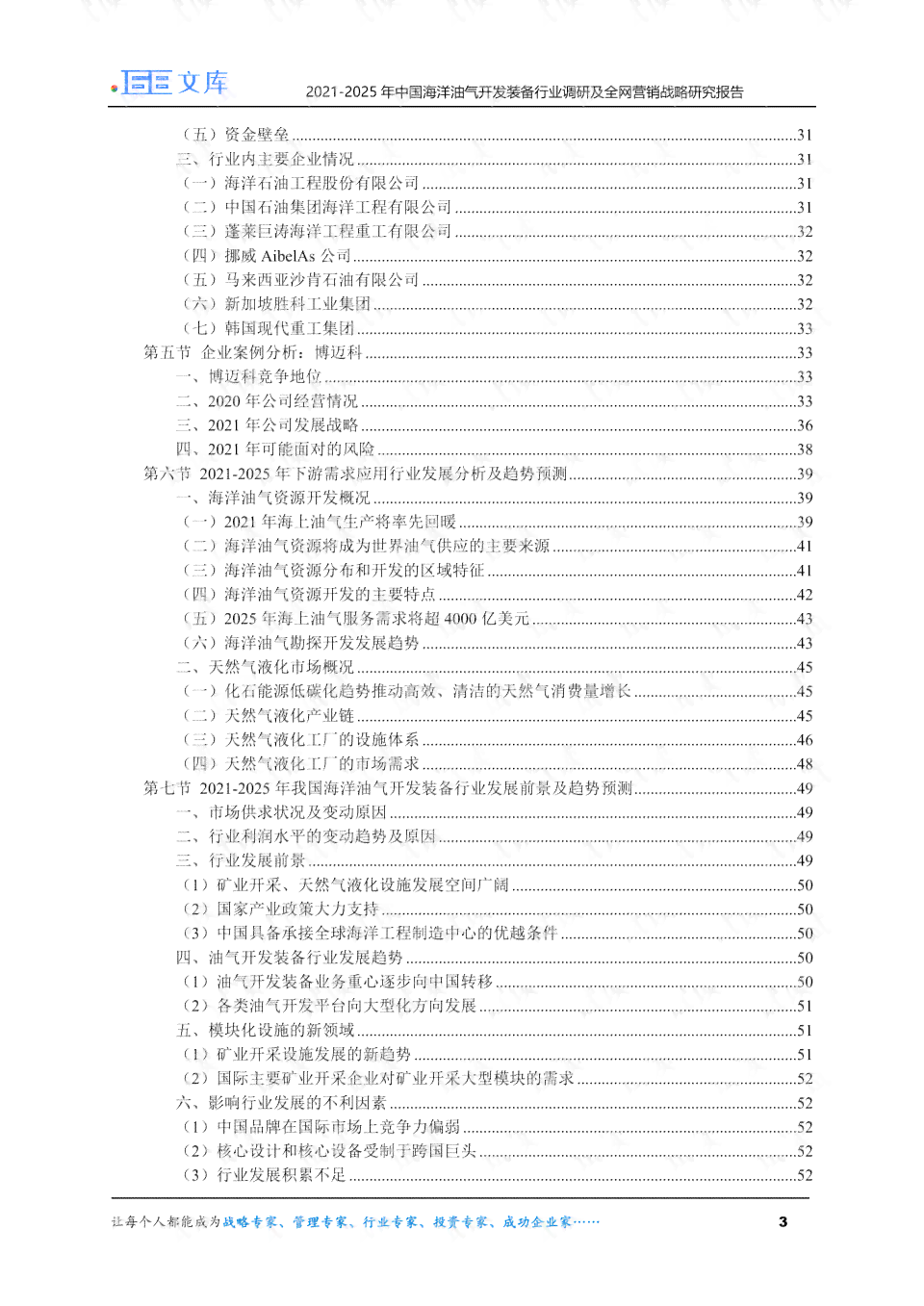 战略报告原文2021最新版：在线阅读及PDF