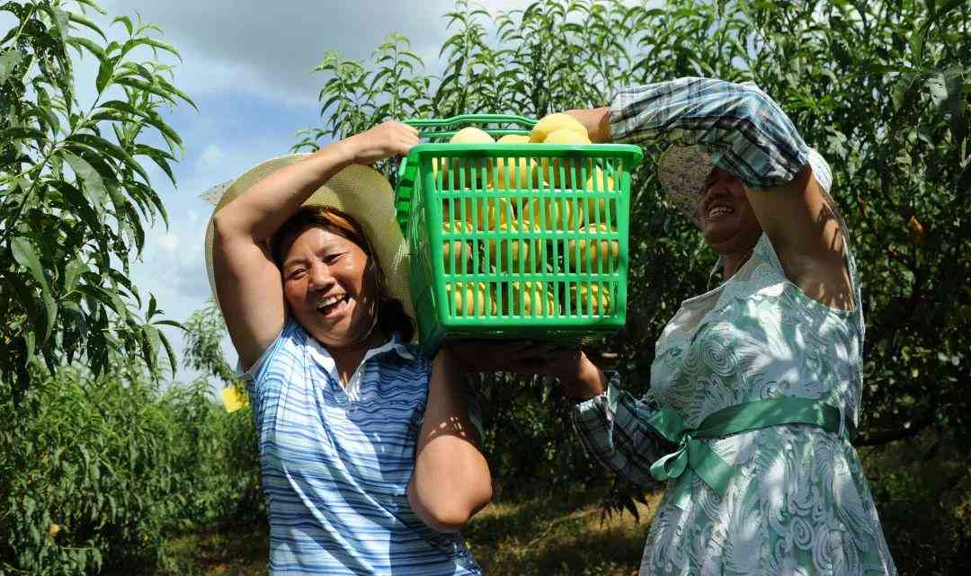 2018年战略深度解析报告：全球视野下的政策布局与影响评估