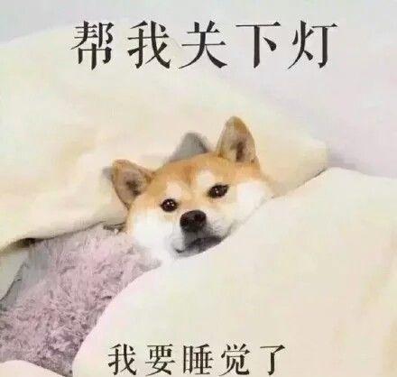 全面收录：比耶女孩表情包大全，满足各种场景需求