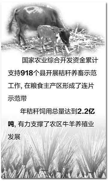 国内文案界领军人物：创意笔耕越大师