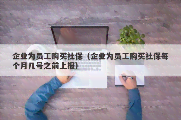 上班几个月之后必须交社保：探讨员工何时开始缴纳社保及保险购买规定
