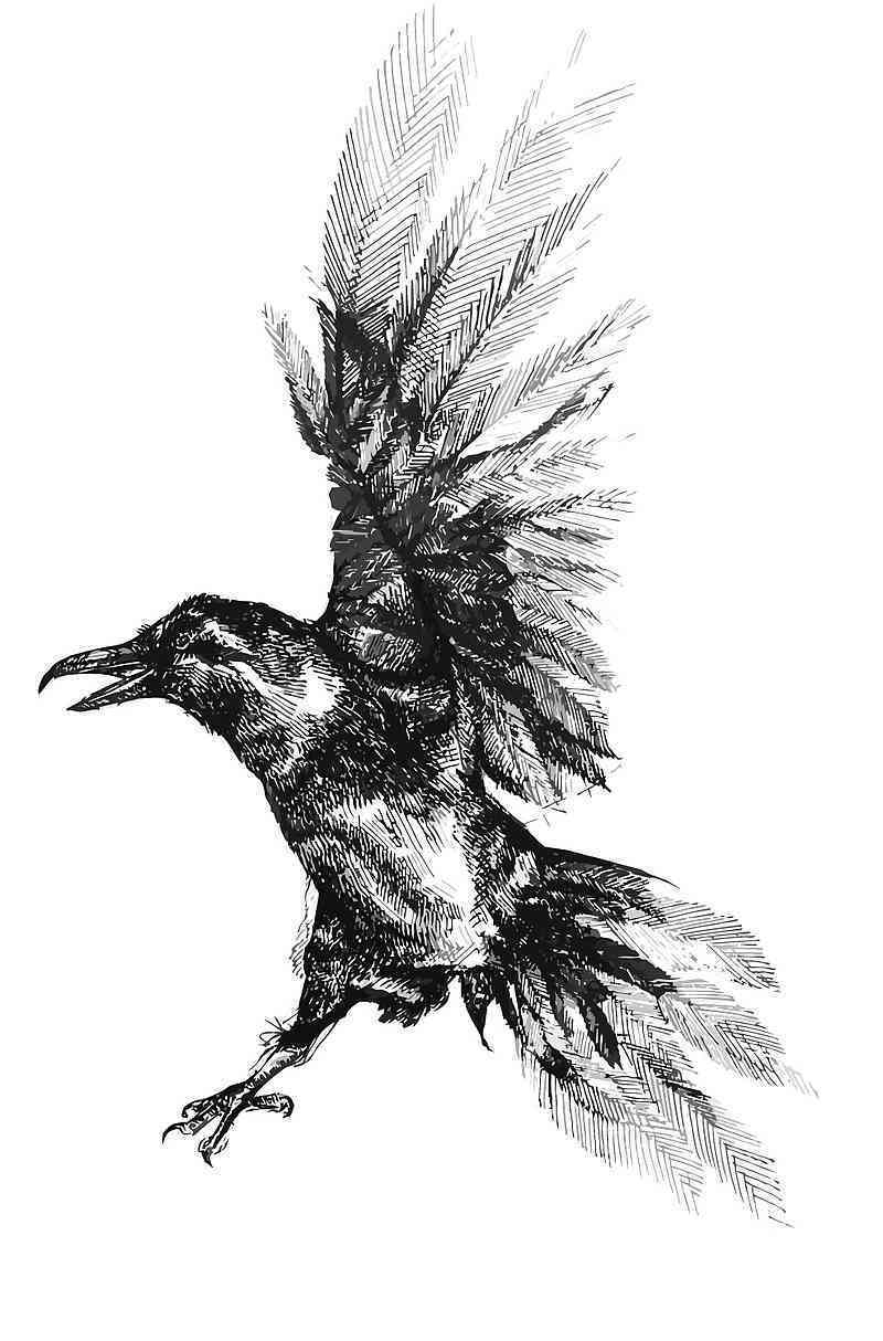 鸦风格素材：鸦画作与设计