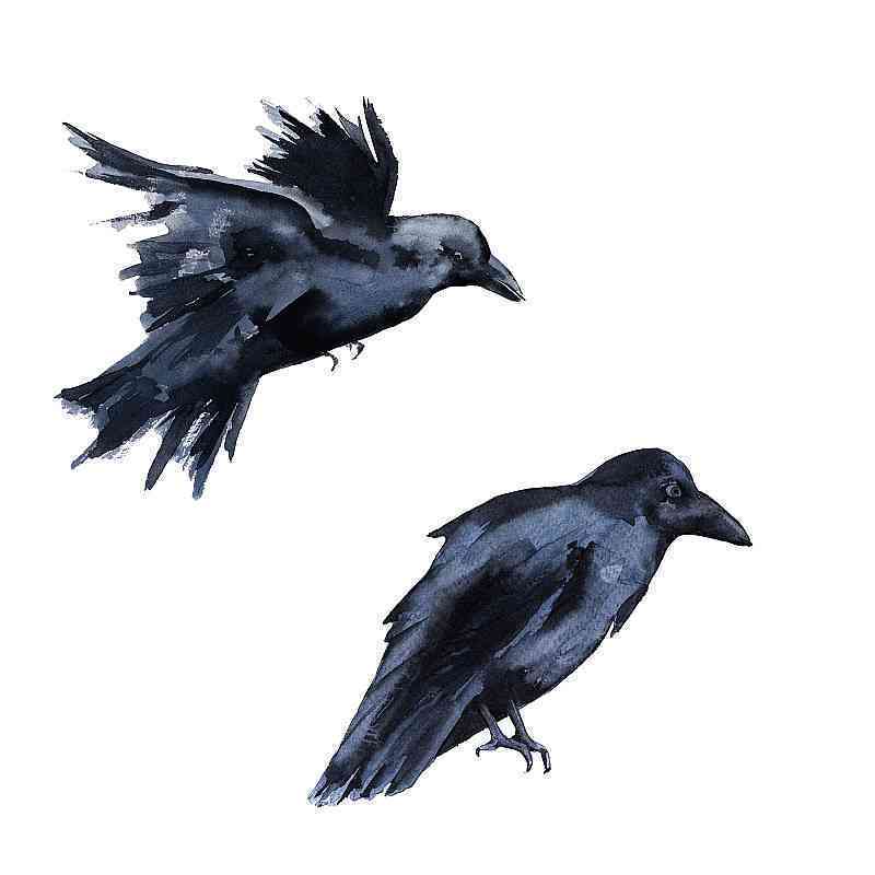 鸦风格素材：鸦画作与设计